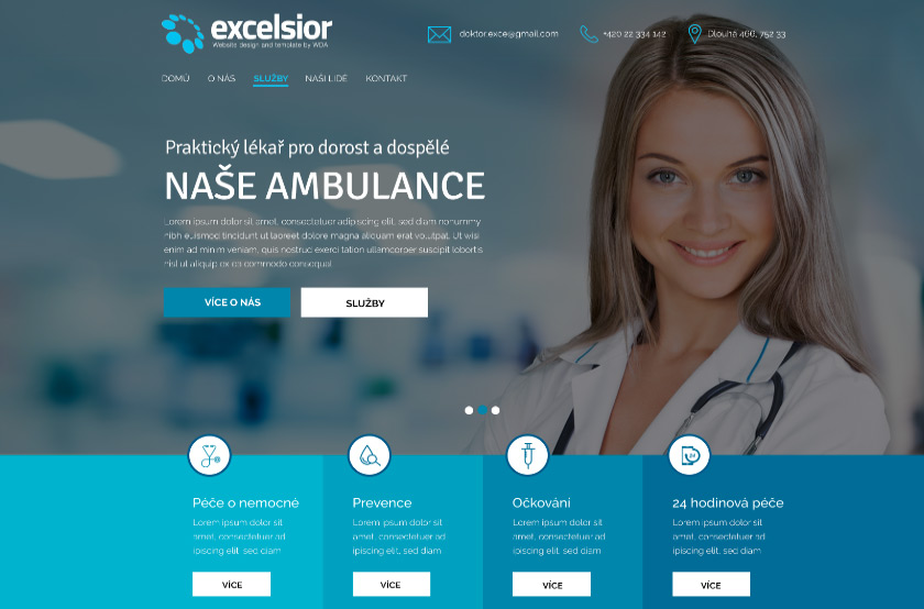 Excelsior Ambulance